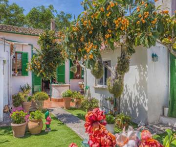 Casa Vileta