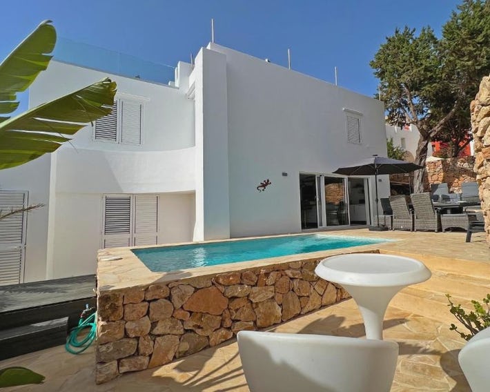 Casa Palm Tree