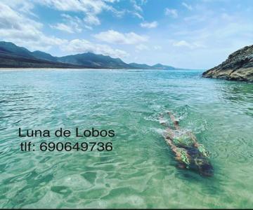 Luna de Lobos