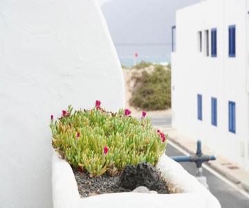apartamento famara 4