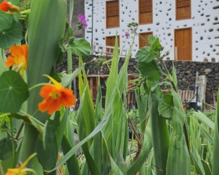 CASA RURAL ANTIGUA ESCUELA I