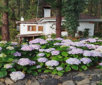 Floral garden house