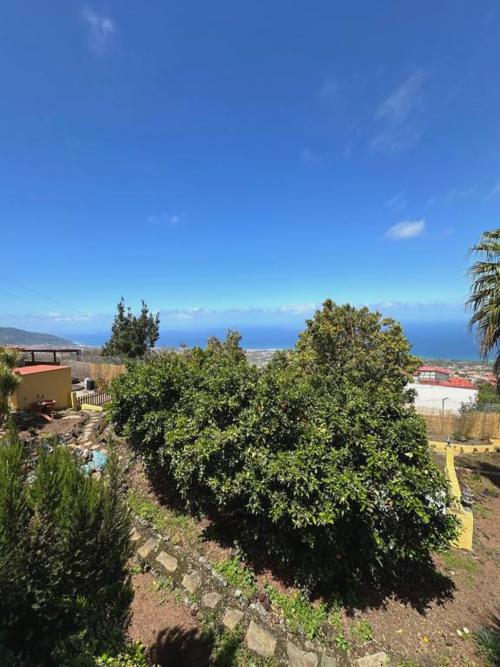 Finca Casa Los Dragos