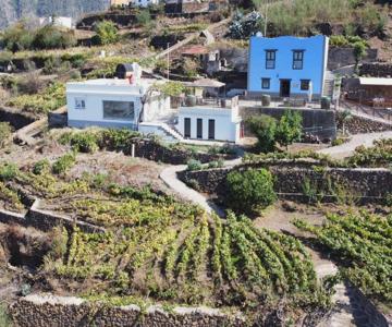 Ek Teide Finca El Milagro