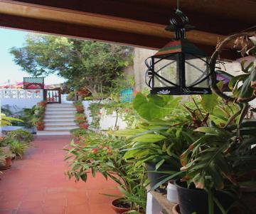 Casa Los Palitos