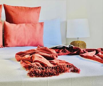 Canaryislandshost l Room