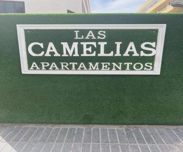 Appartamenti Las Camelias Playa Del Inglés