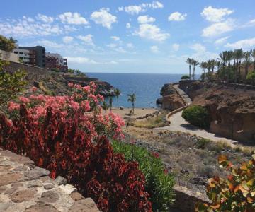 Appartement à Playa Paraiso