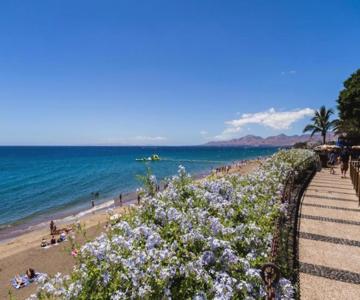 One Bedroom Apartment With Ocean View, Wifi And Pool