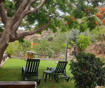 Peaceful house set on a vineyard & work friendly