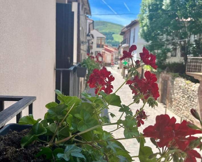 Apartamentos Ubaga