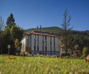 Hotel Balneario de Areatza