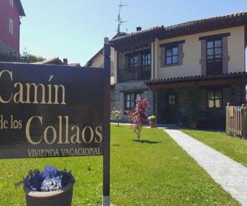 Camin De Los Collaos