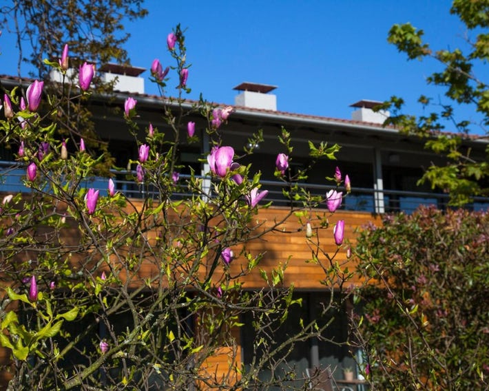Casona de la Paca Apartamentos