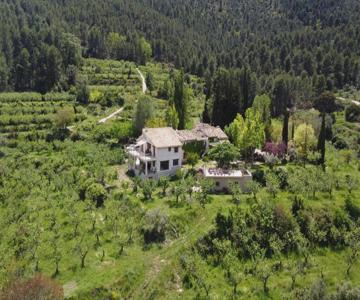 Cortijo Los Gorros