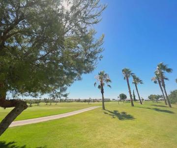 Roda Golf And Beach Resort Dogs Welcome