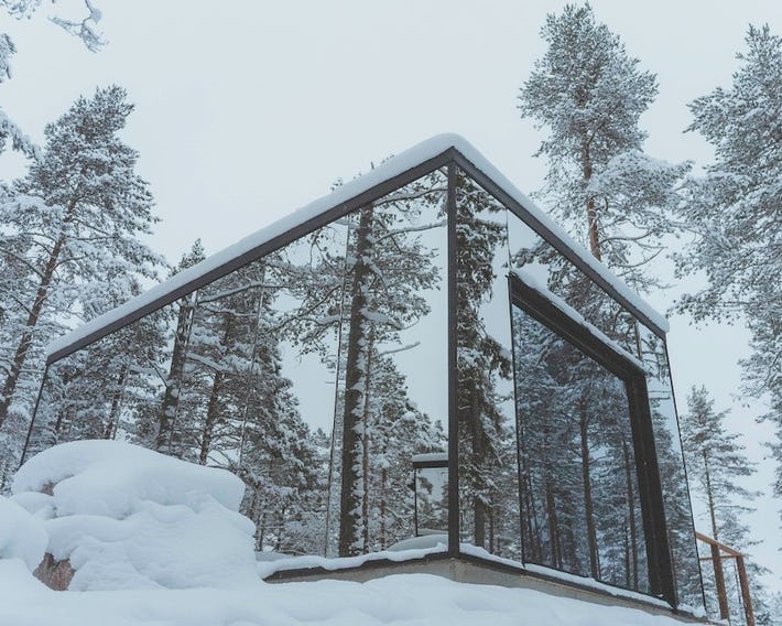 Invisible Forest Lodge