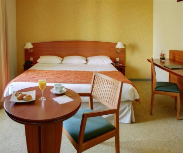 Sure Hotel by Best Western la Palmeraie, Pau