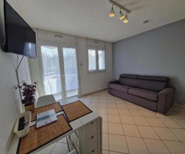 Studio Annecy, 1 Pièce, 2 Personnes - Fr-1-432-42
