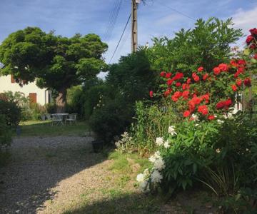 Le Catalpa - Centre Ville, Jardin & Parking!