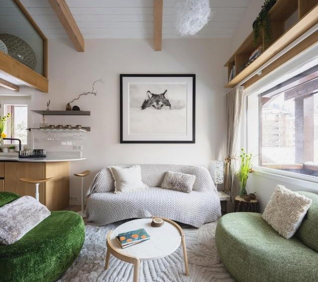 1 bedroom apartment plus mezzanine