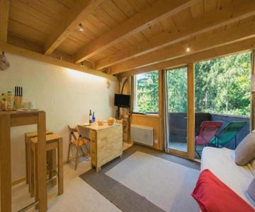 Résidence Grand Roc - Ancolies 104 - Happy Rentals