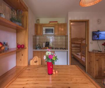 Studio Chamonix-mont-blanc, 1 Pièce, 4 Personnes - Fr-1-517-21