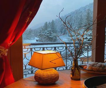 Happy Moose - Cosy Mont Blanc View Apartment