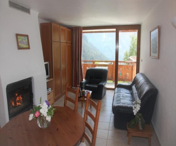 Chalet Bouquetin- Hermine 2 To 4 People