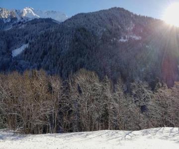 Appartement Champagny-en-vanoise, 5 Pièces, 10 Personnes - Fr-1-638-7