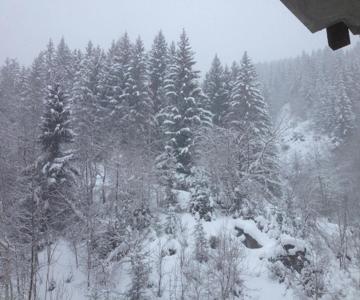 La Tania Courchevel 73120