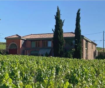 Gîte De La Vieille Vigne