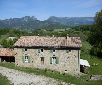Le Panicaut