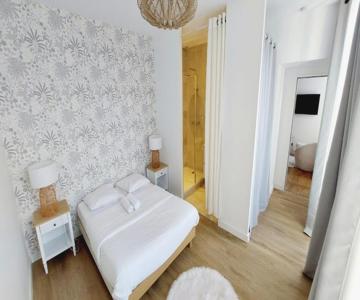 Hyper-centre de Grenoble, suite parentale - wifi fibre - cocon