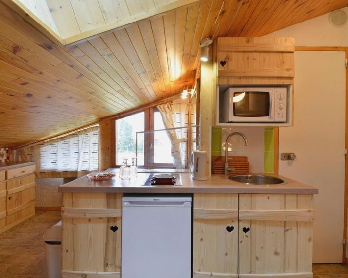 Studio chaleureux, ski aux pieds, animaux admis