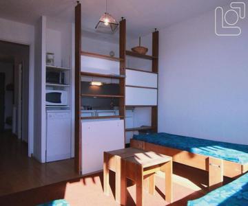 Appartement Huez, 1 Pièce, 4 Personnes - Fr-1-405-65