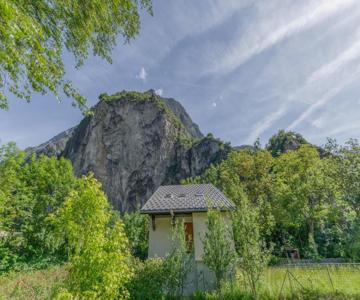 Les Lys Orangés