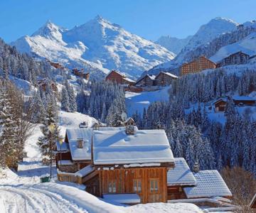Chalet Mokus