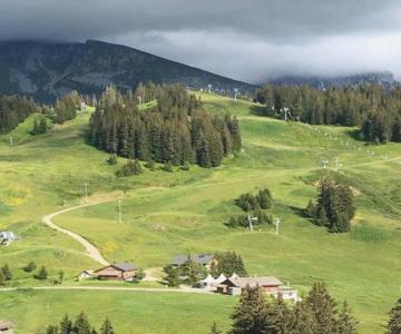 La cabane d'en haut