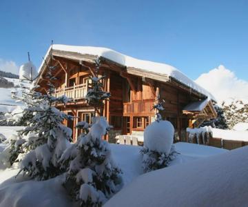 Les Oursons -chalet