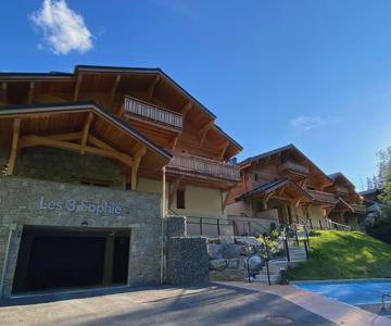 Gorgeous 2 Bedroom, 2 Full Bath, Ski In Apartment!