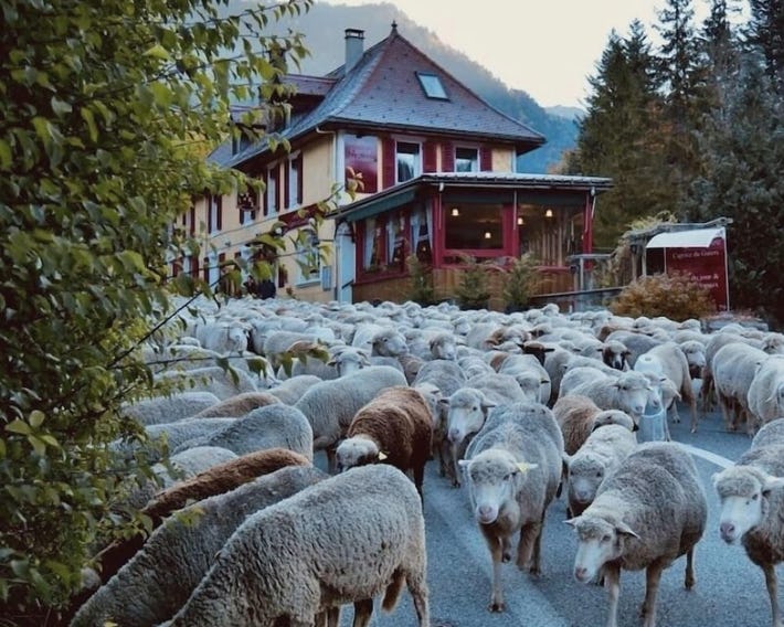 O Caprice Du Guiers
