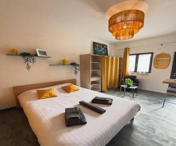 Le Cosy Tassin - Rez De Jardin