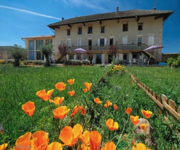 Le Domaine  Bed & Breakfast