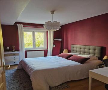 Cosy Appartement Complet centre-ville Montbéliard