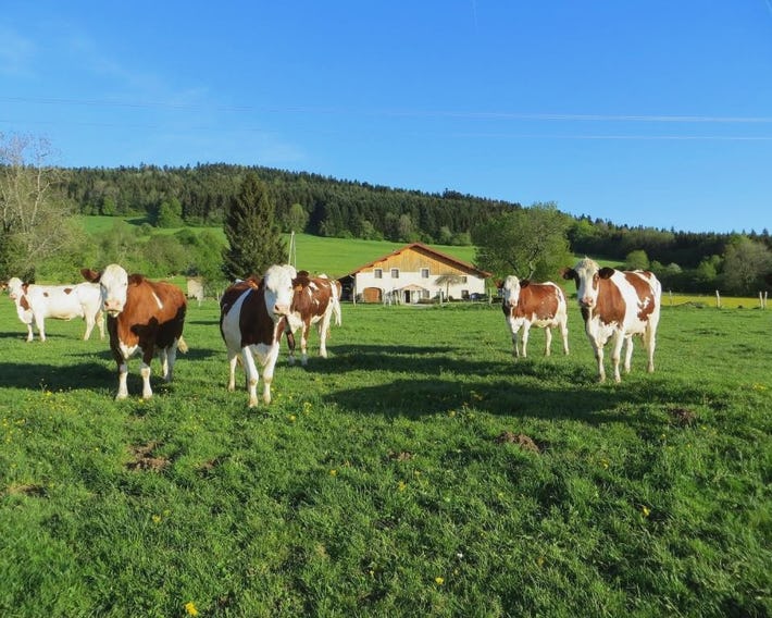 La ferme du bonheur