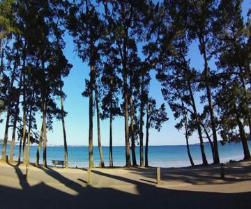 Cap Coz Plage Piscine Et Jardin