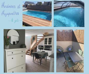 Ardoises Et Agapanthes