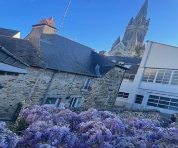 Maison de ville- quartier calme