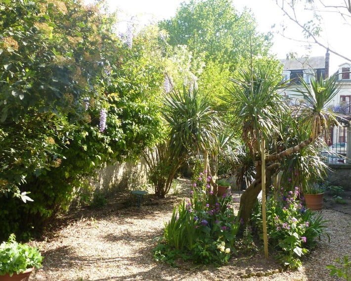 La Petite Vigne